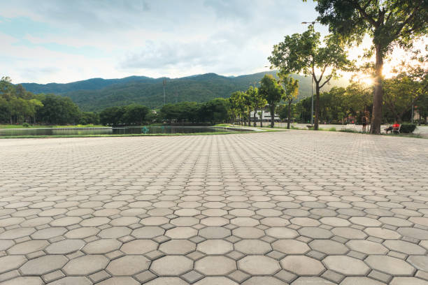 Best Professional Driveway Pavers  in Badger, AK